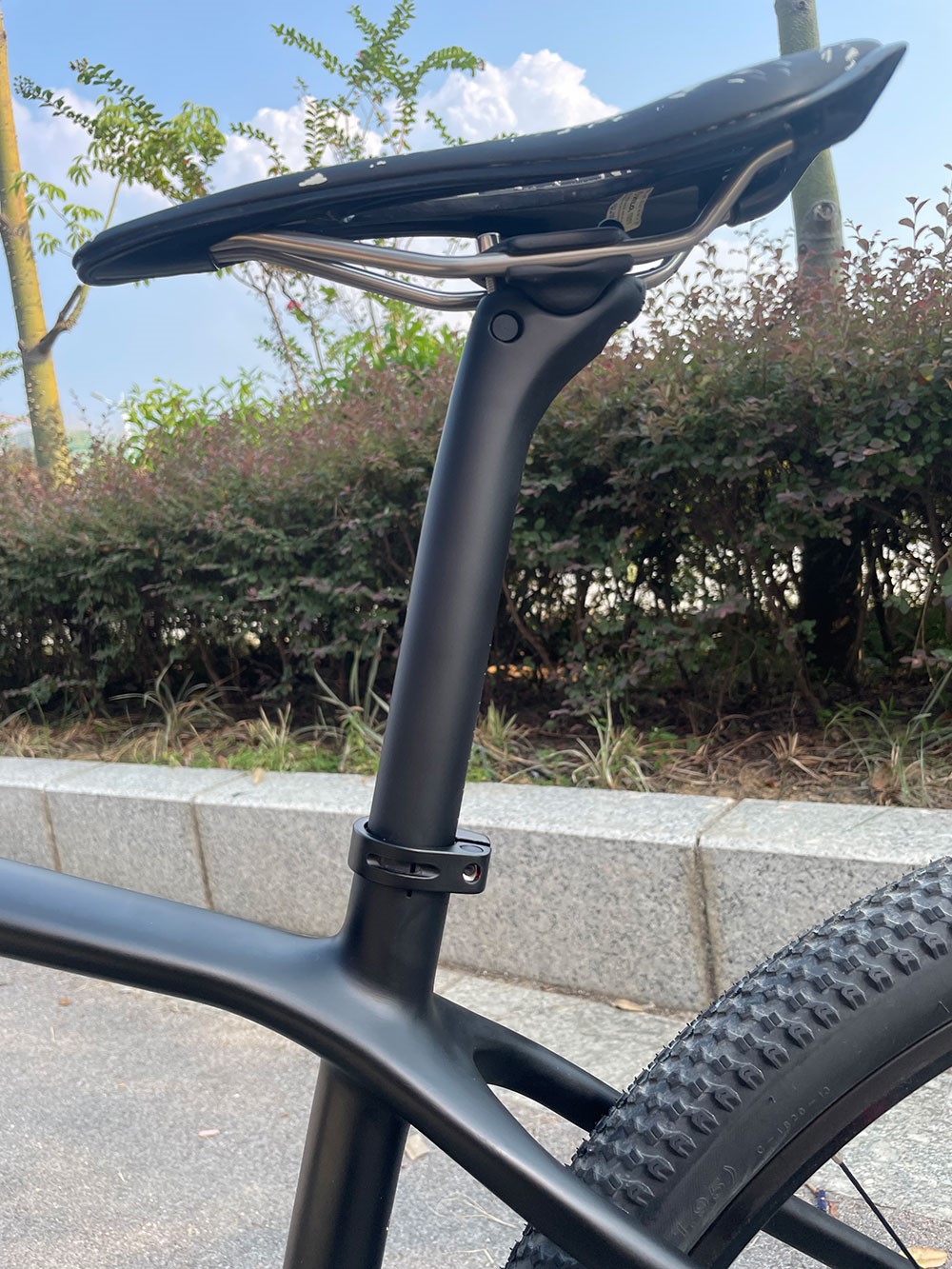 ELITAONE MTB Carbon Seat Post  - Carbon Fiber Saddle 评论和价格